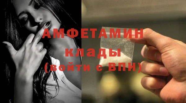 мдпв Рославль