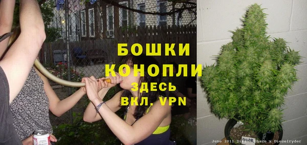 мдпв Рославль