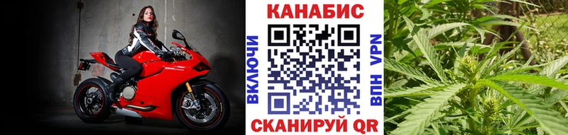 МАРИХУАНА план  Купить  Алагир 